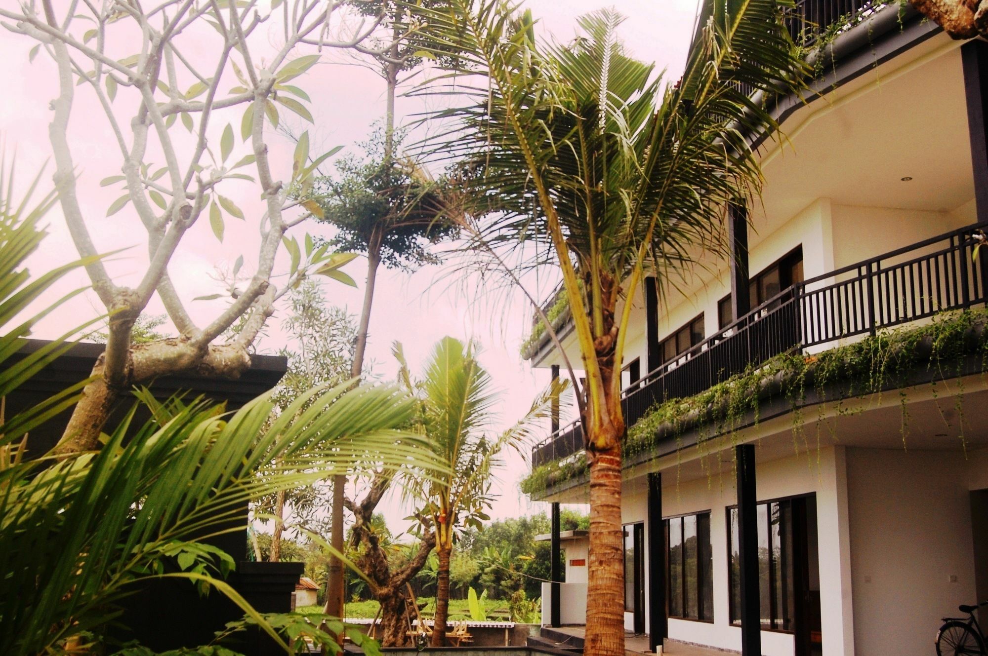 Grandpa Guest House Canggu  Exterior photo