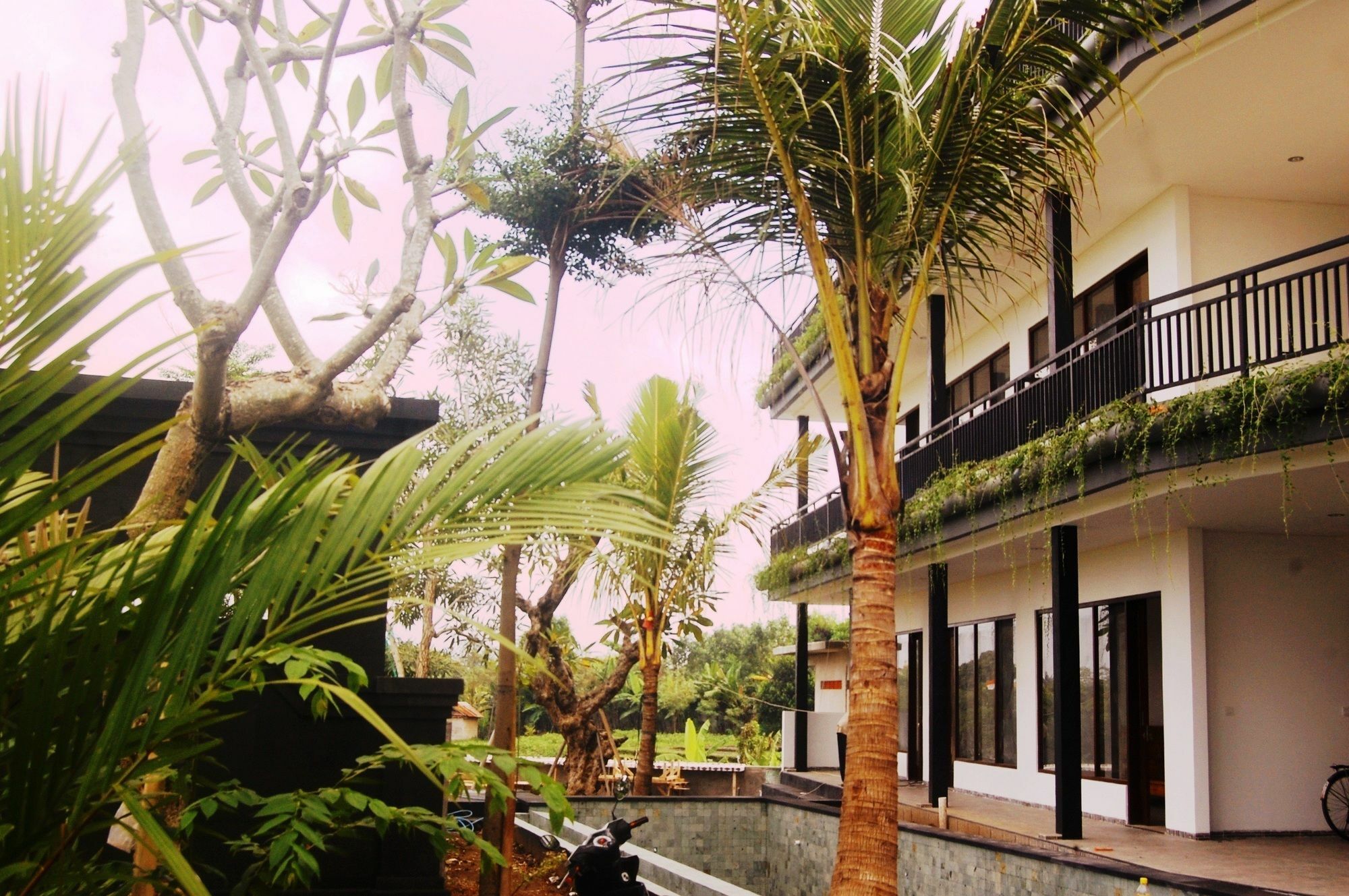 Grandpa Guest House Canggu  Exterior photo